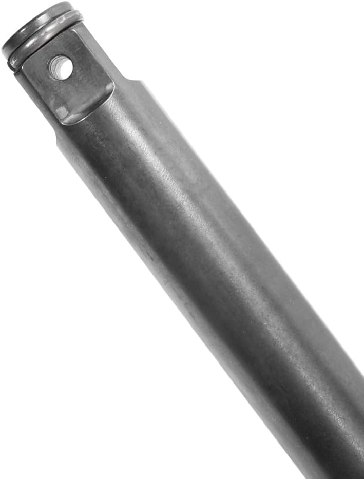 セミオールド】 ヨーロピアン（ハイアーチ 1枚板） ca.1850 バイオリン